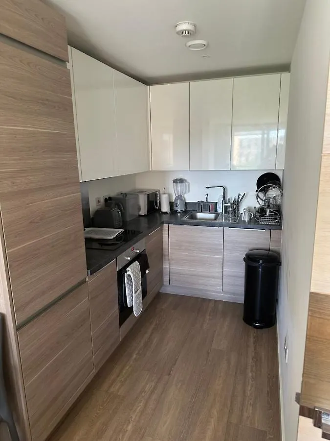 Luxury One Bedroom Apartment London 0*,  United Kingdom